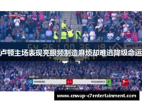 卢顿主场表现亮眼频制造麻烦却难逃降级命运