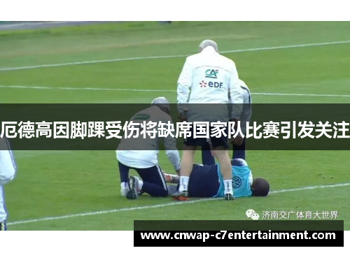 厄德高因脚踝受伤将缺席国家队比赛引发关注